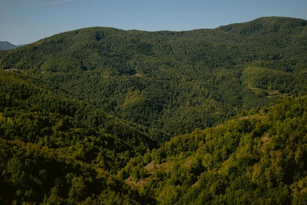 Les tendances de la maltraitance infantile dans le monde